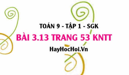 Bài 3.13 trang 53 Toán 9 tập 1 Kết nối tri thức